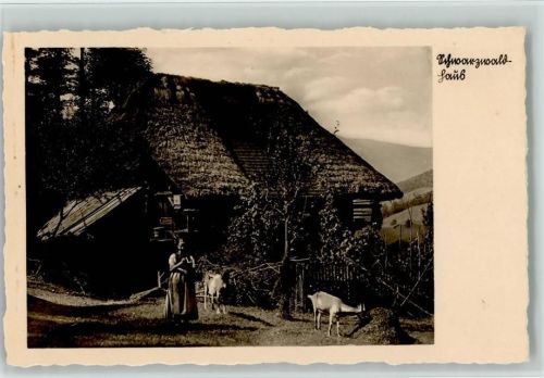 GMT Verlag 425 B 149 De Schwarzwald Idylle Foto AK Bäuerin mit ihren Ziegen