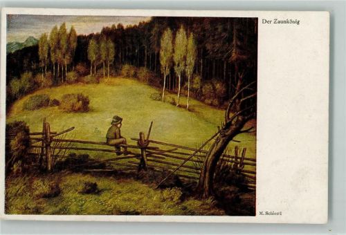 Der Zaunkönig