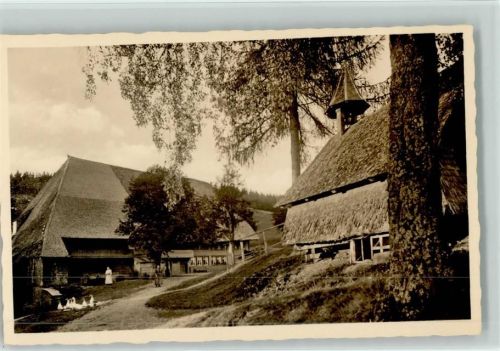Gänse Bäuerin