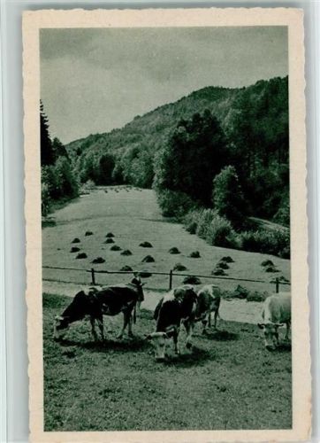 Auf der Weide ca 1930 AK