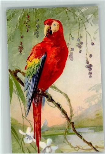 STZF Nr. 119 schöner Vogel Papagei