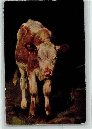 Nr. 208 Prof. Braith Museum - Kalb AK