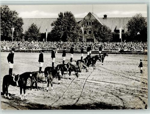 Warendorf Hengstparade Foto AK