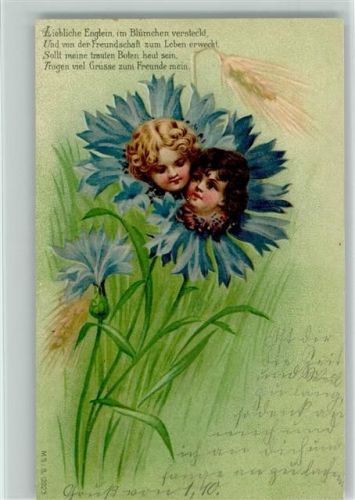 1900 Kinderköpfe in Kornblumen