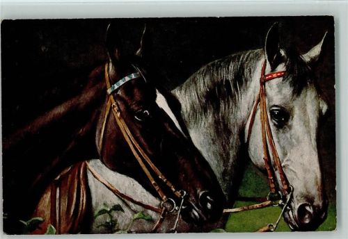 Pferdeköpfe TSN Serie 1410 - 1917 AK