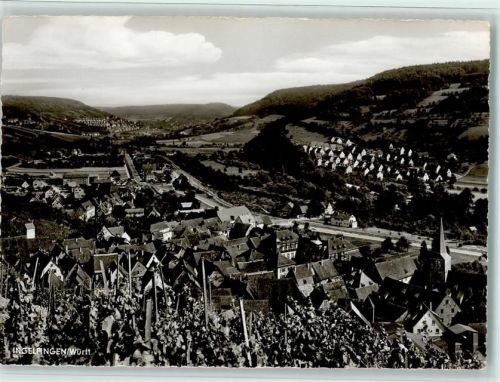Ingelfingen Blick auf Ingelfingen Weinberge