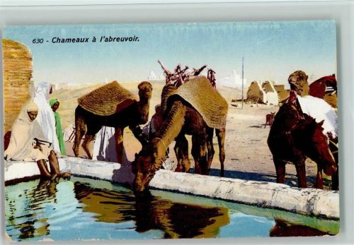 Nr. 630 Lehnert & Landrock - Oase in der Wüste - Brunnen trinken für die Kamele - Typen Arab. Volkstyp