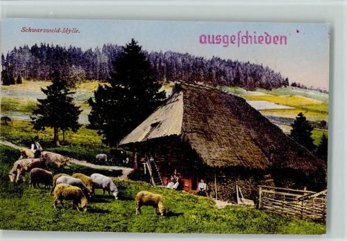 GMT Verlag color Schwarzwald Idylle Schafe weiden am Haus