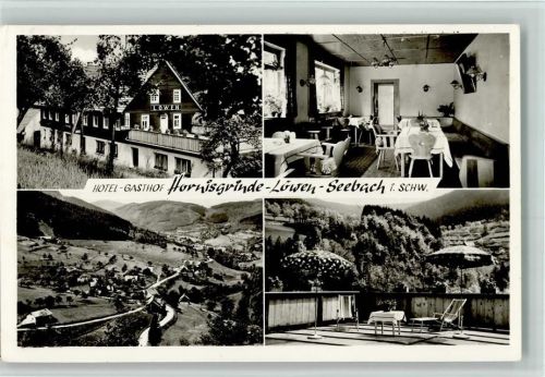 Seebach Hotel Gasthof Hornisgrinde-Löwen 4-Bildaufnahme