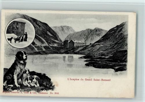 Bourg-St-Pierre 1908 L hospice du Grand Saint Bernard,Verlag Trüb Nr. 2041, gute Erhaltung AK
