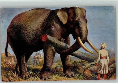 TSN Serie 724 Arbeits-Elefant schleppt Baumstämme sign Specht 1916 AK Elefant Künstlerkarte