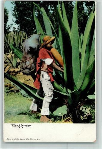 Tlachiquero