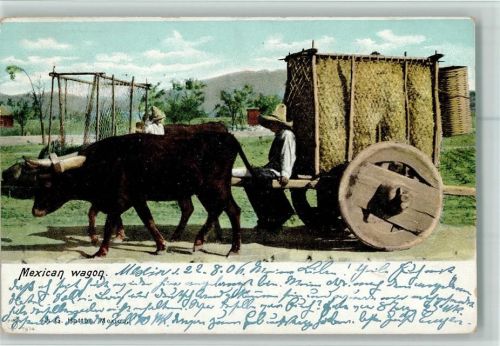 1906 Mexican wagon Ochsenkarren