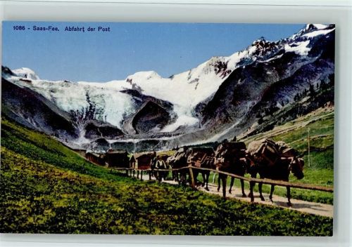 Saas-Fee Verlag SG 1086 - Abfahrt der Post - Kühre sind mit Paketen beladen, gute Erhaltung AK
