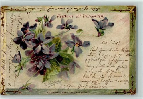 1901 Lithographie Veilchen sign Klein C