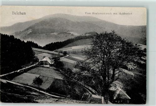Belchen 1913 Vom Heubronnereck mit Haldenhof