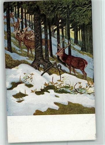 Serie II, 2 Ludwig Hoeß - Hochjagd - Jagdtiere AK Verlag Jugend Künstlerkarte