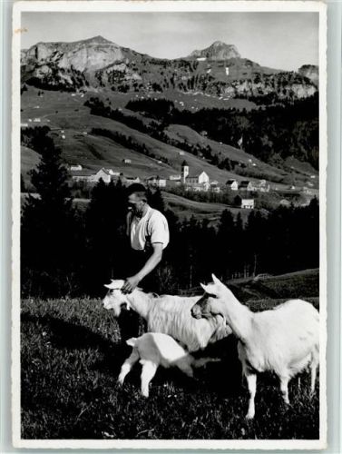 Brülisau mit Kamor und Hoher Kasten
