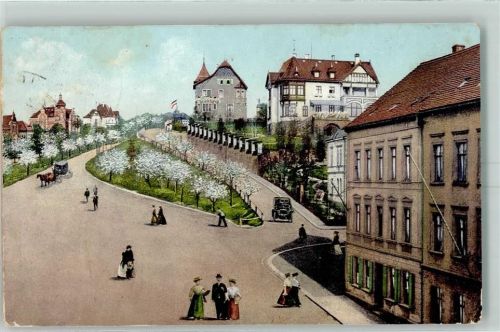 Werdau Schützenhausberg in der Kirschblüte