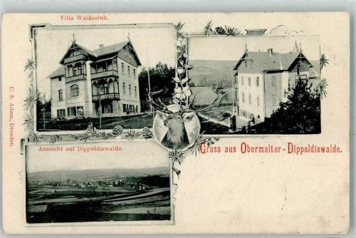 Dippoldiswalde 1901 Villa Waldesruh