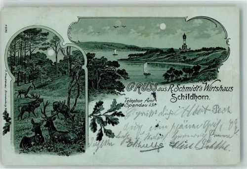 10115 W1000 Schildhorn 1905 Lithographie / Mondschein Gasthaus R. Schmidt`s Wirtshaus Hirsch Kaiser Wilhelm Turm