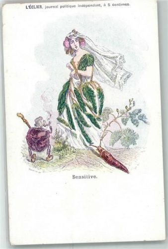 1900 Werbung sign. Grandville L`Eclair, journal politique independant - Metamorphose Sensitive Blumen vermenschlicht