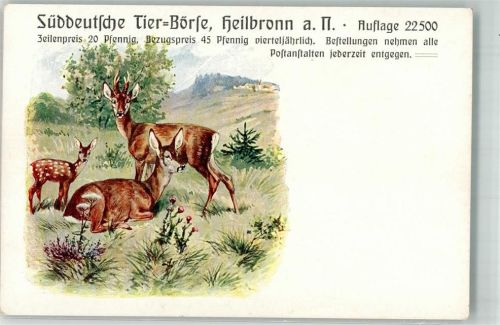 Heilbronn Süddeutsche Tier-Börse Rehe mit Kitz in freier Wildbahn