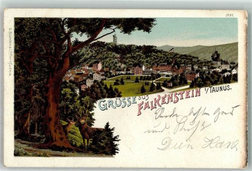 Falkenstein 1901