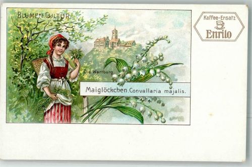 Eisenach Kaffee Ersatz Enrilo Serie Blumen Kultur Maiglöckchen Wartburg