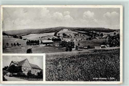 Unter-Mossau Gasthaus zum Odenwald