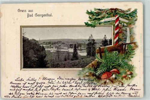 Georgenthal 1903 Bad Georgenthal Wegweiser Passepartout
