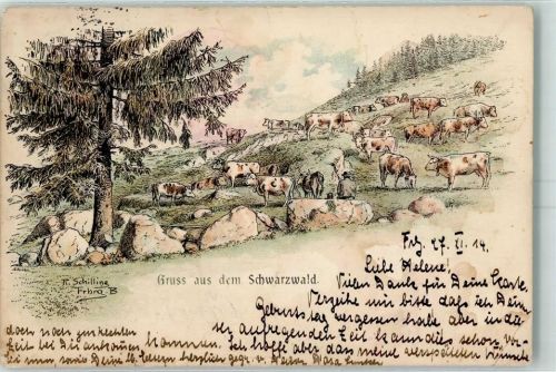 sign. R. Schilling Kühe im Schwarzwald Lithographie