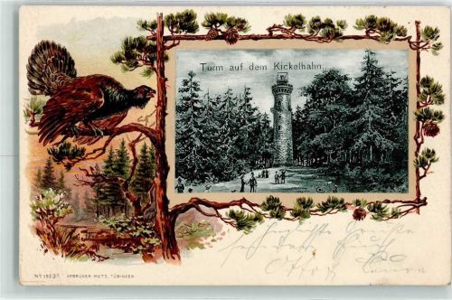 Kickelhahn 1902 Aussichtsturm Auerhahn Lithographie