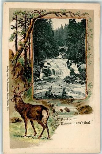 Raumünzach Wasserfall Brücke Hirsch