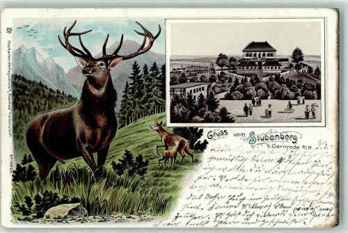 Gernrode 1904 Gruss vom Stubenberg Hirsch Reh Wild
