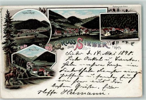 Sieber 1898 vom Knöterskopf vom Birkenhtal Bethmanns Hotel