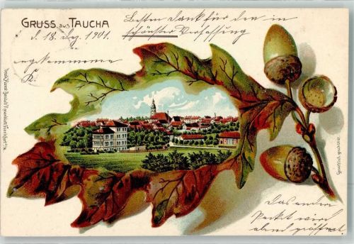 Taucha 1901 Eichel Eichenblatt