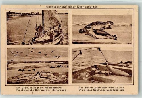 Abenteuer auf einer Seehundsjagd