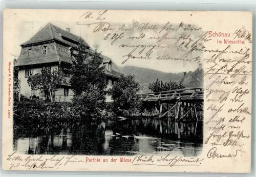 79677 W7869 Schönau im Schwarzwald 1902 - Wiese