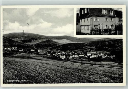 Seelenberg Gasthaus u. Pension zum Taunus
