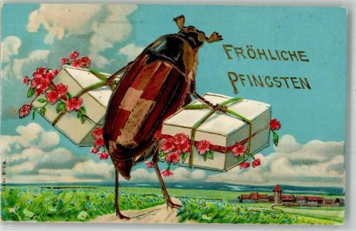 vermenschlicht Pfingsten Pakete tragen Maikäfer 1912