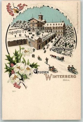 Schmilka Winterberg Christrosen Schlitten Pferdeschlitten