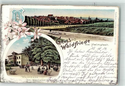 Helmstedt 1914 Gasthaus Waldfriede Schäfer Schafherde Feldpost Reservelazarett Helmstedt