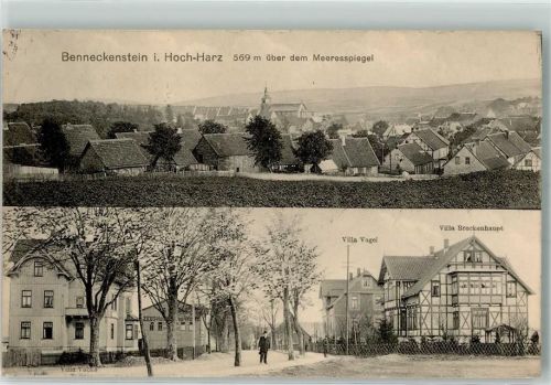 Benneckenstein 1913 Villa Vogel Villa Brockenhaupt Villa Vocke