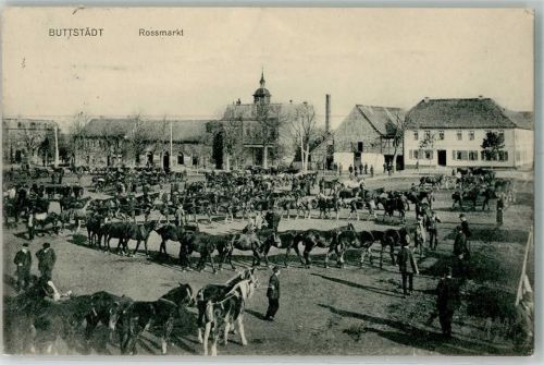 Buttstädt 1911 Pferdemarkt