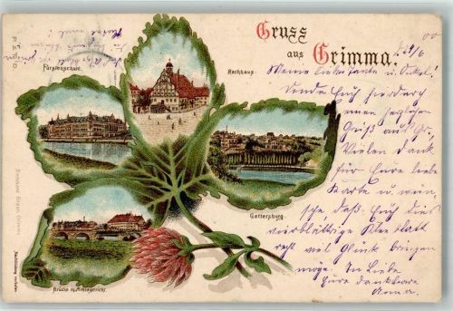 Grimma 1900 Fürstenschule Brücke Amtsgericht Rathaus Gattersburg Vierblättriges Kleeblatt Passepartout