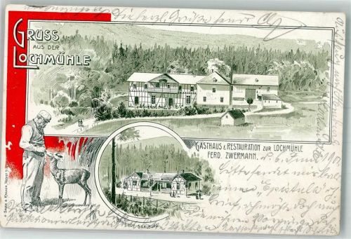 61273 W6393 Lochmühle , Taunus 1901 Lithographie Gasthaus zur Lochmühle Rehkitz Bahnhof Saalburg