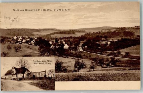 Rippenweier Gasthaus zum Pflug