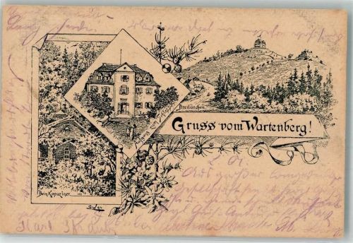 78187 W7716 Geisingen , Baden 1898 Lithographie Verläufer Druck um 1890 Schloß Wartenberg Beim Kapuziner Dreilärchen