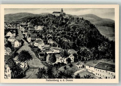 Natternberg Schloß Natternberg